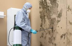 Best HVAC Mold Inspection and Cleaning  in Lincoln Beach, OR